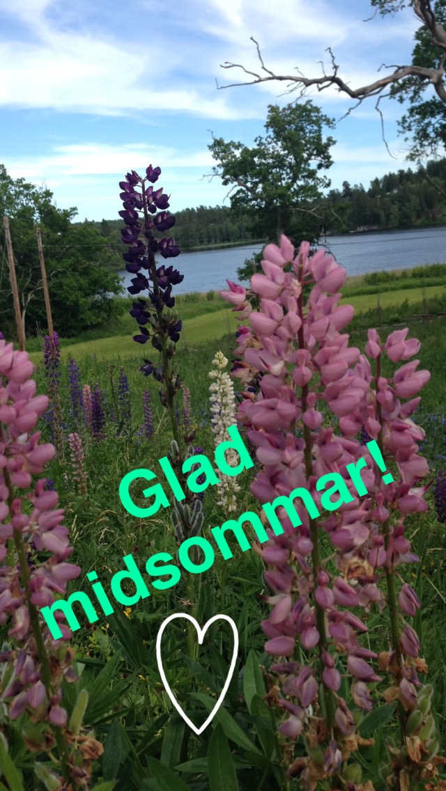 Glad midsommar.JPG